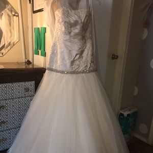 Terry costa wedding dress